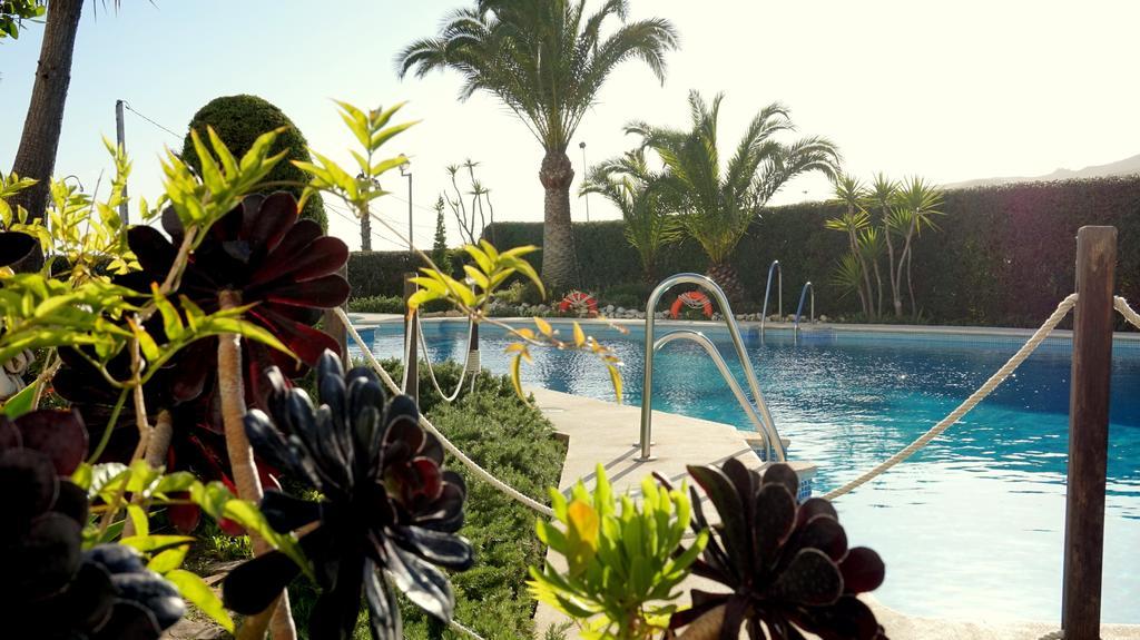 Apartamentos Starnerja En Stella Maris Номер фото