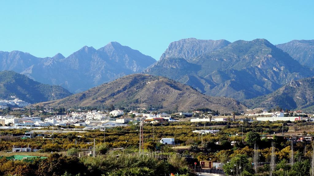 Apartamentos Starnerja En Stella Maris Номер фото